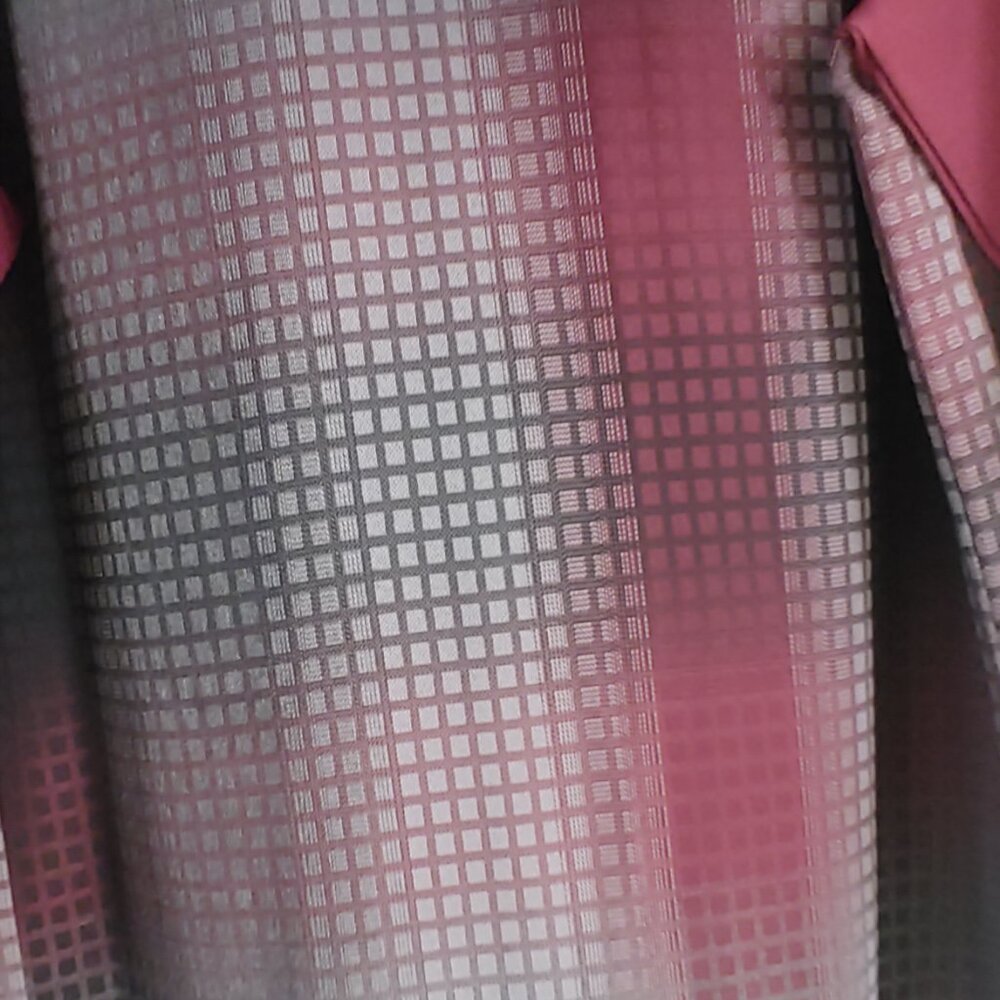 Walking Suit - image 2